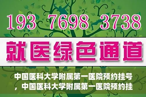 中国医科大学附属第一医院预约挂号，中国医科大学附属第一医院预约挂号指南，一站式解决您的就医难题
