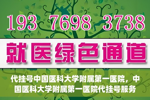 代挂号中国医科大学附属第一医院，中国医科大学附属第一医院代挂号服务详解