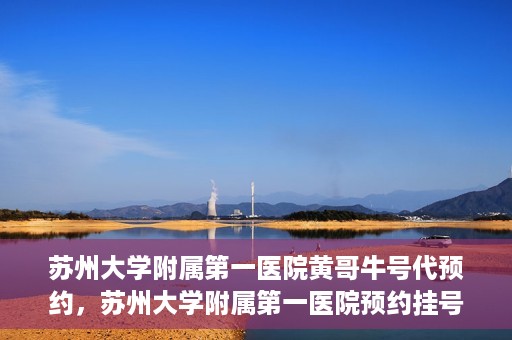 苏州大学附属第一医院黄哥牛号代预约，苏州大学附属第一医院预约挂号新动向，黄哥牛号代预约服务亮相