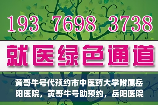 黄哥牛号代预约市中医药大学附属岳阳医院，黄哥牛号助预约，岳阳医院中医魅力体验之旅