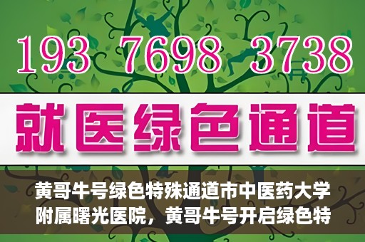 黄哥牛号绿色特殊通道市中医药大学附属曙光医院，黄哥牛号开启绿色特殊通道，市中医药大学附属曙光医院倾力打造健康新篇章