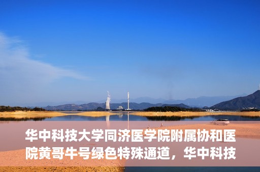 华中科技大学同济医学院附属协和医院黄哥牛号绿色特殊通道，华中科技大学同济医学院附属协和医院黄哥牛号绿色就医特殊通道揭秘
