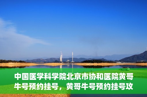 中国医学科学院北京市协和医院黄哥牛号预约挂号，黄哥牛号预约挂号攻略，中国医学科学院北京市协和医院就医指南