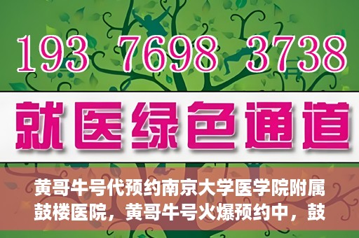 黄哥牛号代预约南京大学医学院附属鼓楼医院，黄哥牛号火爆预约中，鼓楼医院携手南京大学医学院开启健康新篇章