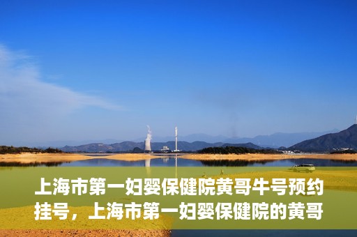 上海市第一妇婴保健院黄哥牛号预约挂号，上海市第一妇婴保健院的黄哥牛号预约挂号指南