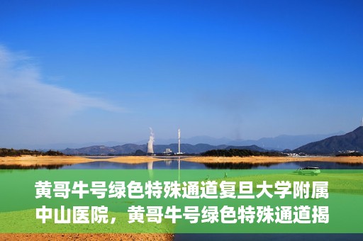 黄哥牛号绿色特殊通道复旦大学附属中山医院，黄哥牛号绿色特殊通道揭秘，复旦大学附属中山医院的独特之处
