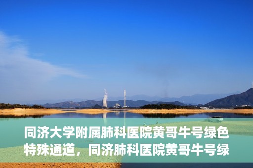 同济大学附属肺科医院黄哥牛号绿色特殊通道，同济肺科医院黄哥牛号绿色特殊通道揭秘