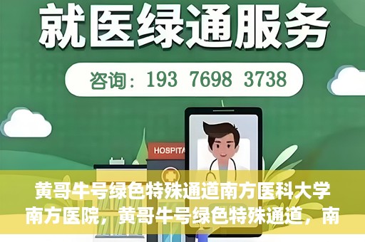 黄哥牛号绿色特殊通道南方医科大学南方医院，黄哥牛号绿色特殊通道，南方医科大学南方医院的探索与实践