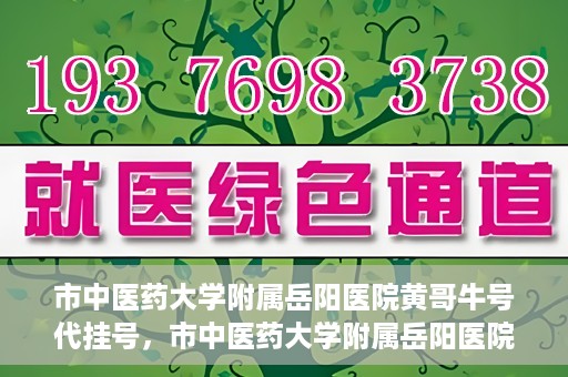 市中医药大学附属岳阳医院黄哥牛号代挂号，市中医药大学附属岳阳医院黄哥牛号代挂号服务解析
