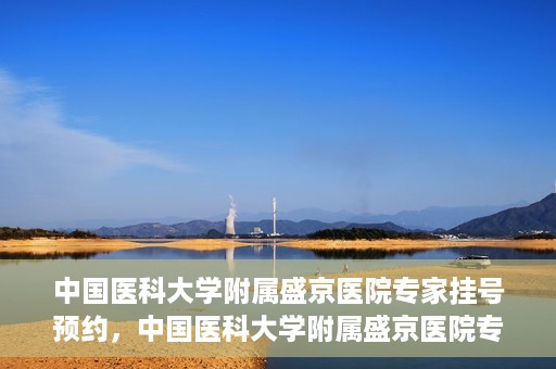 中国医科大学附属盛京医院专家挂号预约，中国医科大学附属盛京医院专家挂号预约攻略，一站式预约服务解析