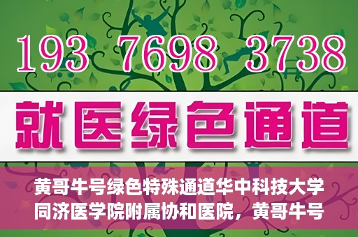 黄哥牛号绿色特殊通道华中科技大学同济医学院附属协和医院，黄哥牛号开启绿色特殊通道，华中科技大学同济医学院附属协和医院助力健康中国行动