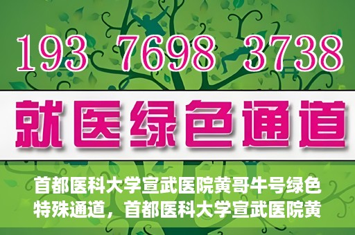 首都医科大学宣武医院黄哥牛号绿色特殊通道，首都医科大学宣武医院黄哥牛号，绿色特殊通道开启健康之门