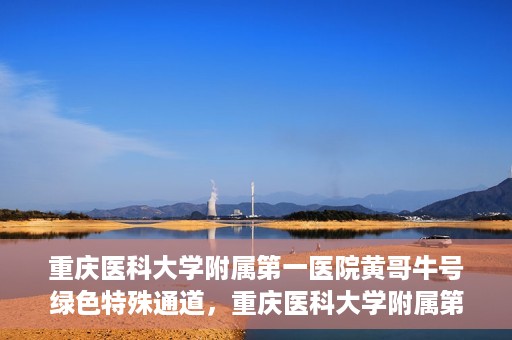重庆医科大学附属第一医院黄哥牛号绿色特殊通道，重庆医科大学附属第一医院黄哥牛号绿色特殊通道，就医新选择