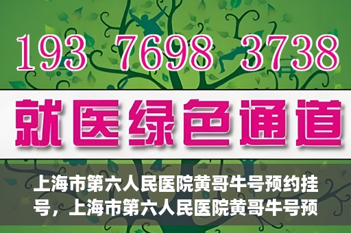 上海市第六人民医院黄哥牛号预约挂号，上海市第六人民医院黄哥牛号预约挂号攻略，轻松挂号，便捷就医体验