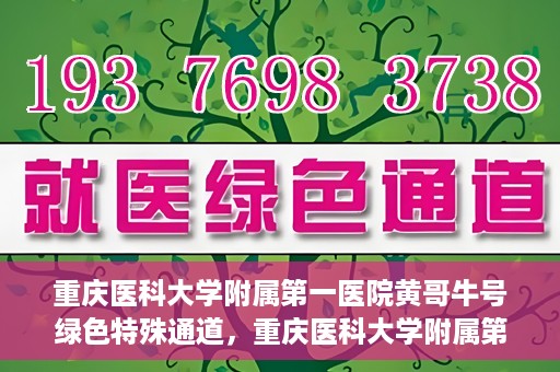 重庆医科大学附属第一医院黄哥牛号绿色特殊通道，重庆医科大学附属第一医院黄哥牛号绿色特殊通道，就医新选择