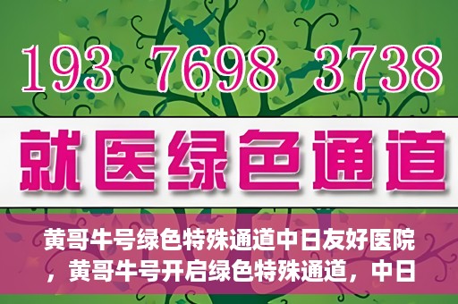 黄哥牛号绿色特殊通道中日友好医院，黄哥牛号开启绿色特殊通道，中日友好医院展现友好服务新篇章