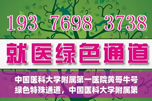 中国医科大学附属第一医院黄哥牛号绿色特殊通道，中国医科大学附属第一医院黄哥牛号，绿色特殊通道的开启与探索