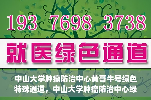 中山大学肿瘤防治中心黄哥牛号绿色特殊通道，中山大学肿瘤防治中心绿色特殊通道——黄哥牛号的守护力量
