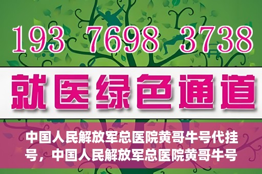 中国人民解放军总医院黄哥牛号代挂号，中国人民解放军总医院黄哥牛号代挂号解析，揭秘挂号背后的故事