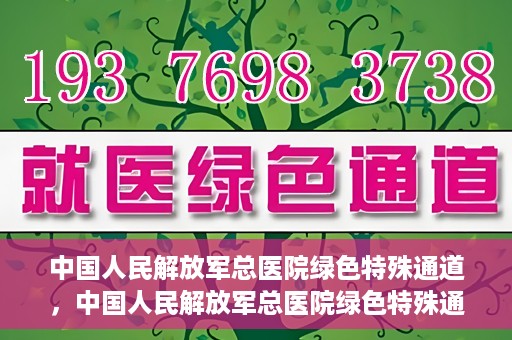 中国人民解放军总医院绿色特殊通道，中国人民解放军总医院绿色特殊通道，医疗服务的紧急通道与人文关怀的完美结合