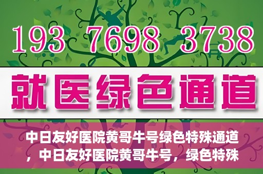 中日友好医院黄哥牛号绿色特殊通道，中日友好医院黄哥牛号，绿色特殊通道开启健康之门