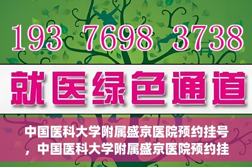 中国医科大学附属盛京医院预约挂号，中国医科大学附属盛京医院预约挂号指南，一站式解决您的挂号难题