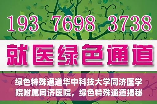 绿色特殊通道华中科技大学同济医学院附属同济医院，绿色特殊通道揭秘，华中科技大学同济医学院附属同济医院的探索之路