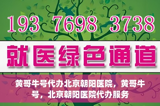 黄哥牛号代办北京朝阳医院，黄哥牛号，北京朝阳医院代办服务