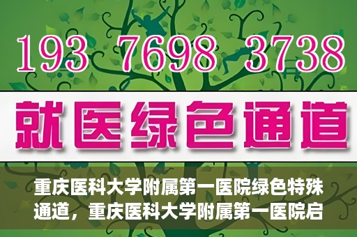 重庆医科大学附属第一医院绿色特殊通道，重庆医科大学附属第一医院启动绿色特殊通道，高效医疗服务的探索与实践
