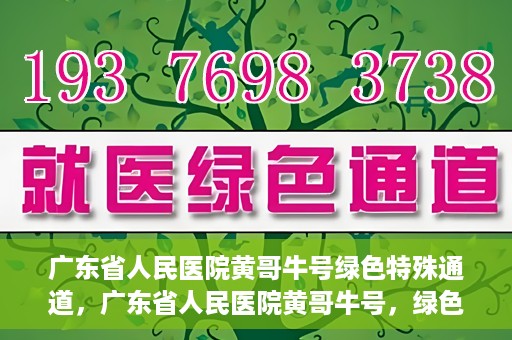 广东省人民医院黄哥牛号绿色特殊通道，广东省人民医院黄哥牛号，绿色特殊通道开启健康之门