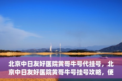 北京中日友好医院黄哥牛号代挂号，北京中日友好医院黄哥牛号挂号攻略，便捷代挂号服务解析