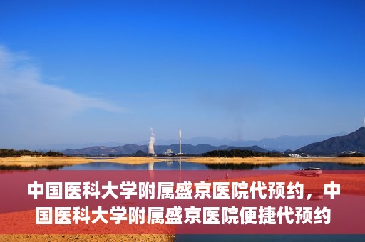 中国医科大学附属盛京医院代预约，中国医科大学附属盛京医院便捷代预约服务解析