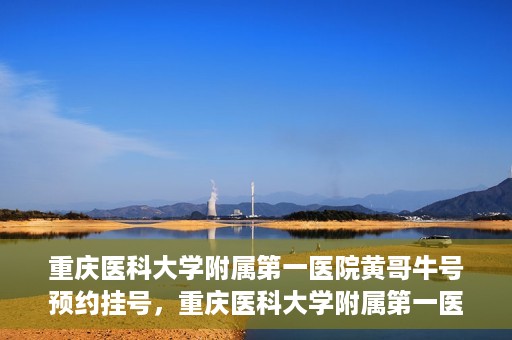 重庆医科大学附属第一医院黄哥牛号预约挂号，重庆医科大学附属第一医院黄哥牛号预约挂号攻略