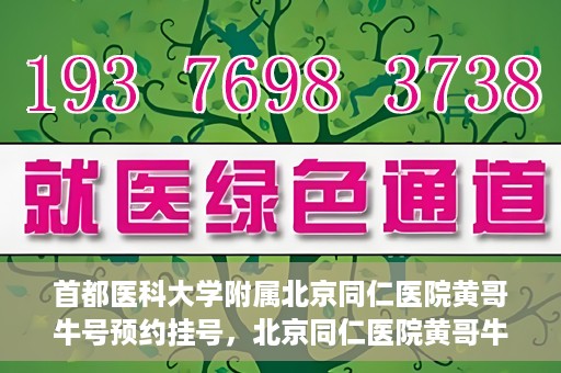 首都医科大学附属北京同仁医院黄哥牛号预约挂号，北京同仁医院黄哥牛号预约挂号攻略，专业医疗服务的便捷通道