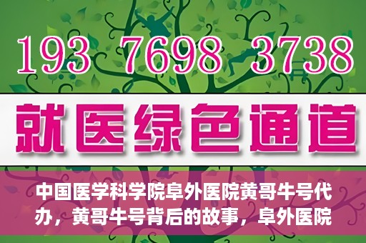 中国医学科学院阜外医院黄哥牛号代办，黄哥牛号背后的故事，阜外医院名医揭秘与医疗服务的深度解读