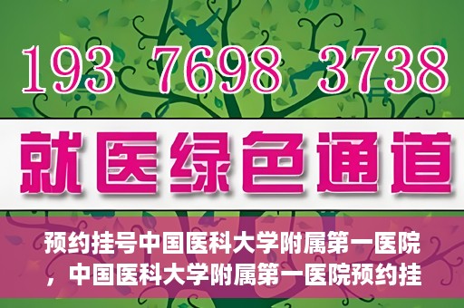 预约挂号中国医科大学附属第一医院，中国医科大学附属第一医院预约挂号系统启动，一站式服务助您轻松就医