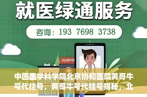 中国医学科学院北京协和医院黄哥牛号代挂号，黄哥牛号代挂号揭秘，北京协和医院挂号背后的故事