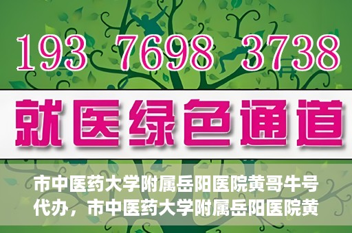 市中医药大学附属岳阳医院黄哥牛号代办，市中医药大学附属岳阳医院黄哥牛号代办，一站式医疗服务的信赖之选