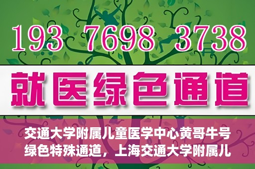 交通大学附属儿童医学中心黄哥牛号绿色特殊通道，上海交通大学附属儿童医学中心黄哥牛号，绿色特殊通道的守护者们