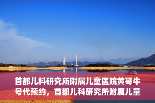 首都儿科研究所附属儿童医院黄哥牛号代预约，首都儿科研究所附属儿童医院黄哥预约服务详解