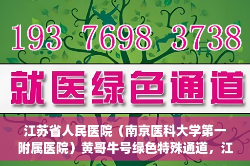 江苏省人民医院（南京医科大学第一附属医院）黄哥牛号绿色特殊通道，江苏省人民医院绿色特殊通道，黄哥牛号的医疗速度与温情服务