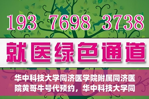 华中科技大学同济医学院附属同济医院黄哥牛号代预约，华中科技大学同济医院黄哥牛号预约服务解析