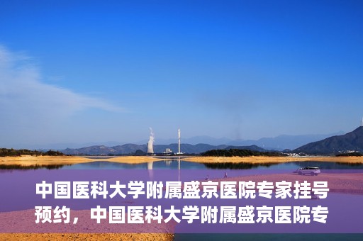 中国医科大学附属盛京医院专家挂号预约，中国医科大学附属盛京医院专家挂号预约攻略，一站式预约服务解析