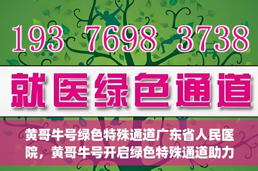 黄哥牛号绿色特殊通道广东省人民医院，黄哥牛号开启绿色特殊通道助力广东省人民医院服务升级