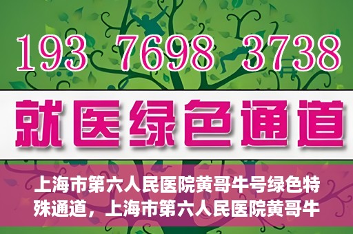 上海市第六人民医院黄哥牛号绿色特殊通道，上海市第六人民医院黄哥牛号，绿色特殊通道开启
