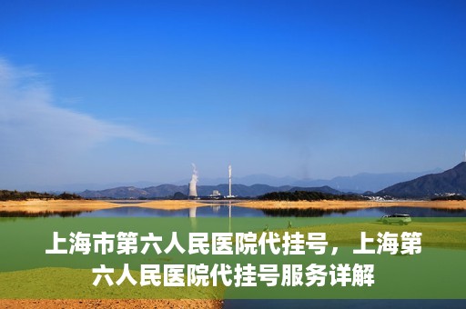 上海市第六人民医院代挂号，上海第六人民医院代挂号服务详解