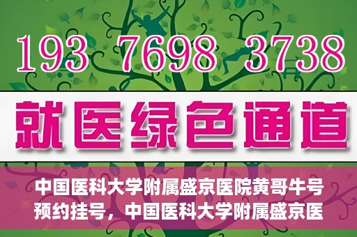 中国医科大学附属盛京医院黄哥牛号预约挂号，中国医科大学附属盛京医院黄哥牛号，预约挂号指南