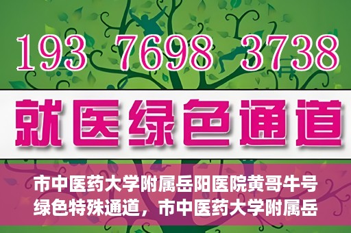 市中医药大学附属岳阳医院黄哥牛号绿色特殊通道，市中医药大学附属岳阳医院黄哥牛号，绿色特殊通道开启健康之门