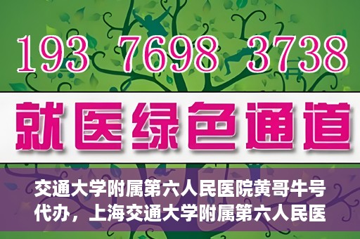 交通大学附属第六人民医院黄哥牛号代办，上海交通大学附属第六人民医院黄哥牛号代办服务解析
