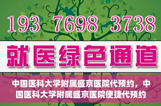 中国医科大学附属盛京医院代预约，中国医科大学附属盛京医院便捷代预约服务解析
